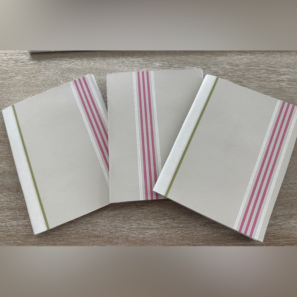 Preppy Striped Notebooks (set of 3) - Pink and Green (size 4.25” x5.5”)